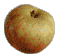 cliquer pour agrandir