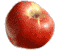 cliquer pour agrandir