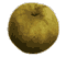 Zoom : 400x600