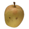 cliquer pour agrandir