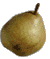 cliquer pour agrandir