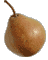 cliquer pour agrandir