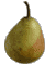 cliquer pour agrandir