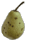 cliquer pour agrandir
