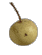 cliquer pour agrandir