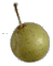 cliquer pour agrandir