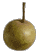 cliquer pour agrandir
