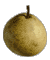 cliquer pour agrandir