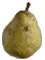 cliquer pour agrandir