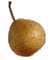 cliquer pour agrandir