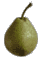 cliquer pour agrandir