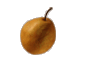 cliquer pour agrandir