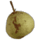 cliquer pour agrandir