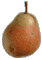 cliquer pour agrandir