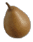 cliquer pour agrandir