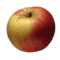 cliquer pour agrandir
