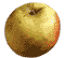 cliquer pour agrandir