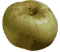 cliquer pour agrandir