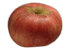 cliquer pour agrandir