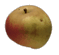 cliquer pour agrandir