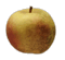cliquer pour agrandir