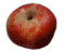 cliquer pour agrandir