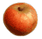 cliquer pour agrandir