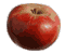 cliquer pour agrandir