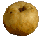 cliquer pour agrandir