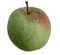 Zoom : 400x600