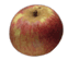 cliquer pour agrandir